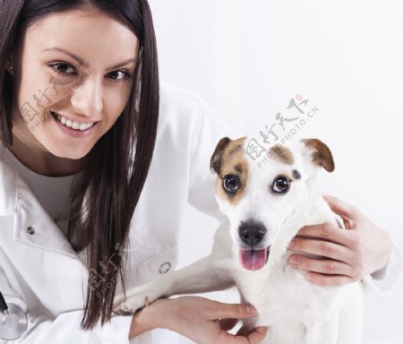 微笑的美女兽医与宠物狗图片