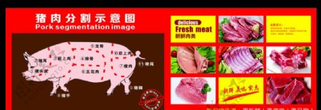 猪肉分割图猪肉示意图