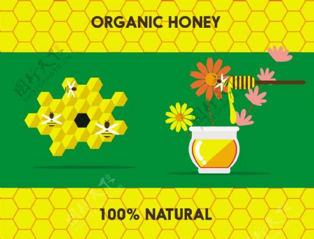 天然蜂蜜插画素材