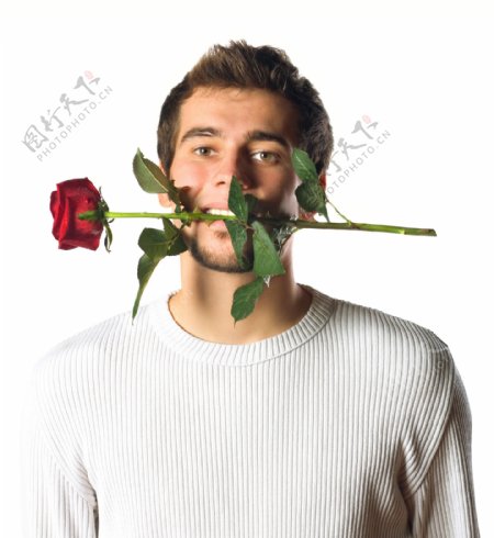 嘴叼玫瑰花的男人图片图片
