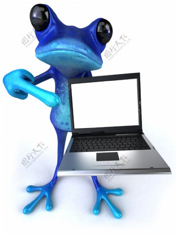 青蛙和电脑图片
