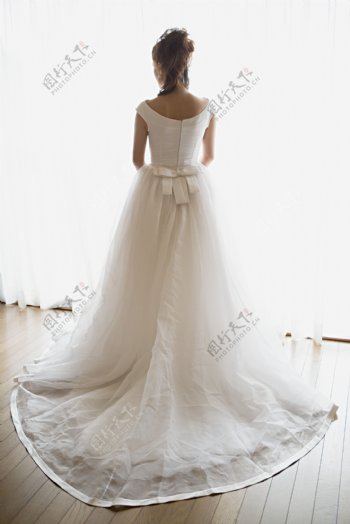 穿着白色长婚纱的新娘背影图片图片