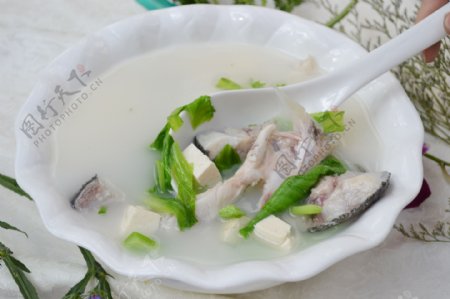 鳕鱼豆腐汤图片