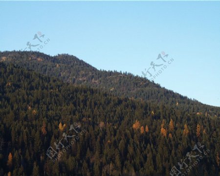 山区草木自然风景贴图素材JPG0229