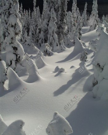 冰雪世界自然风景贴图素材JPG0301