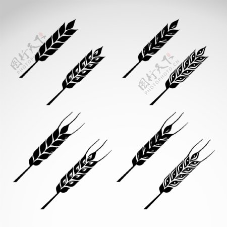 小麦矢量图标图片