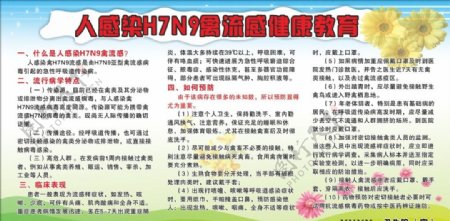 卫生H7N9宣传栏