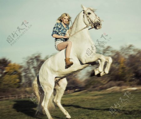 骑白马的美女图片