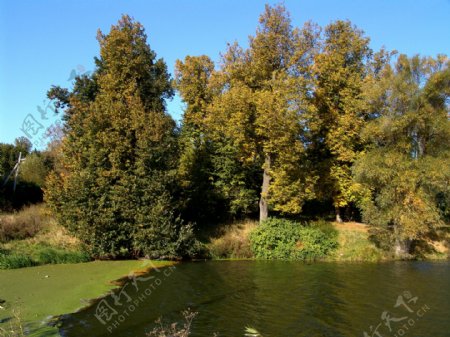 宁静的秋天湖水风景图片