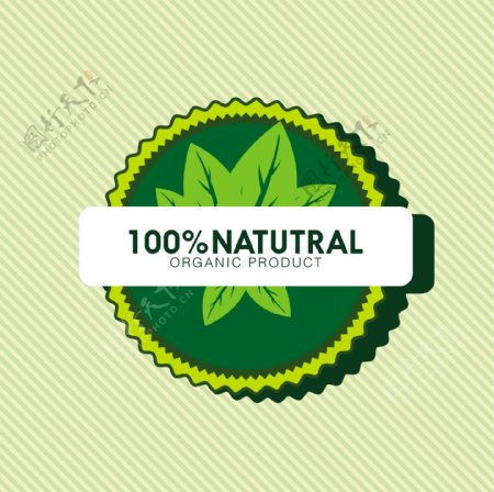 绿色植物标签矢量素材