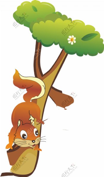 爬树的松鼠