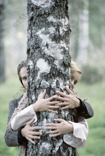 抱着大树的情侣图片