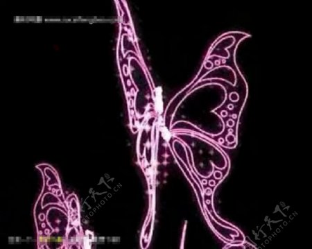 紫色蝴蝶飞舞动态视频素材