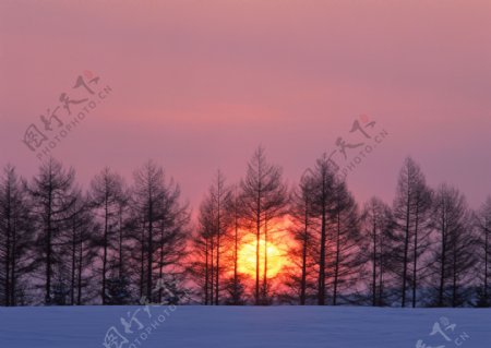 冬天日落风景