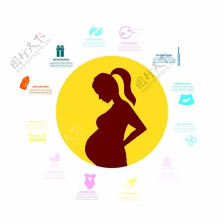 怀孕信息图