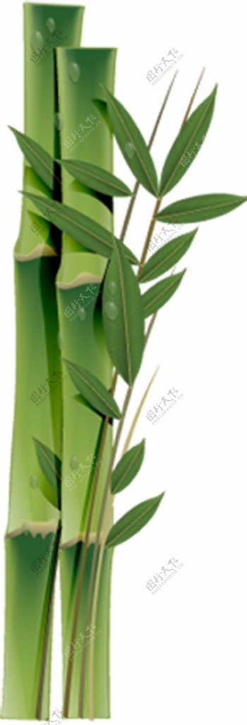 绿叶竹子元素
