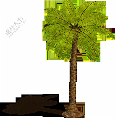 绿色椰树元素