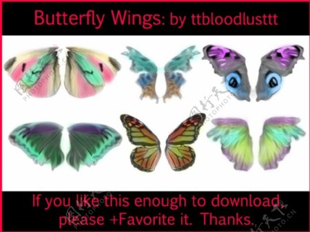 6对漂亮的蝴蝶翅膀photoshop笔刷素材