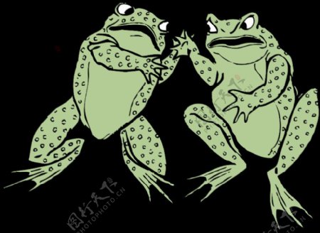 两只青蛙