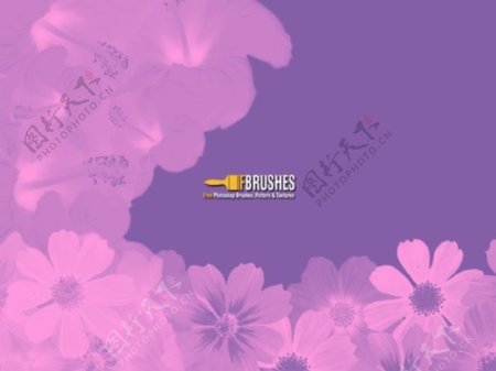 漂亮的鲜花花朵photoshop笔刷素材下载