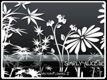 漂亮的植物花纹照片美图背景边框饰品PS笔刷.17