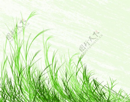 绿色草丛矢量素材