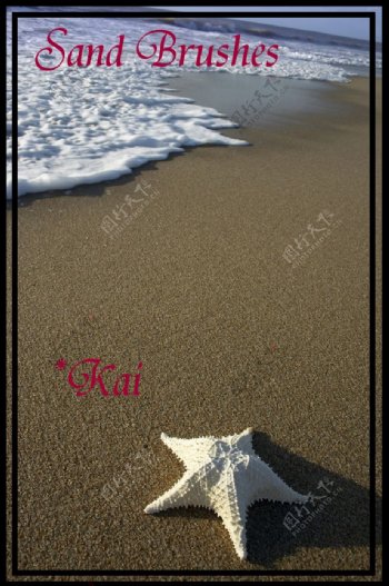 海边沙滩笔刷