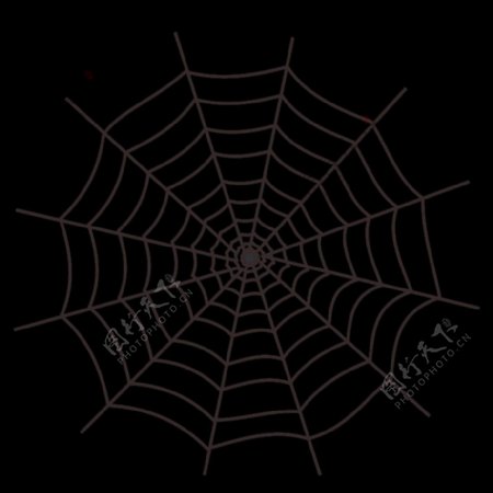 万圣节的蜘蛛网的图标