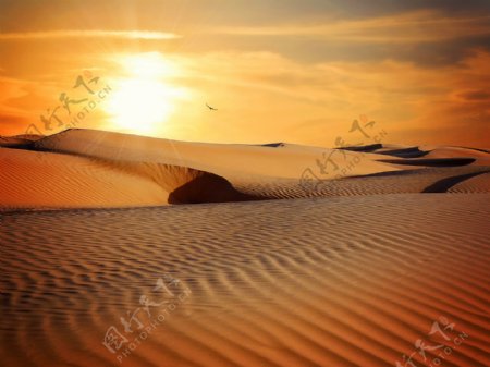 落日下的沙漠炎热