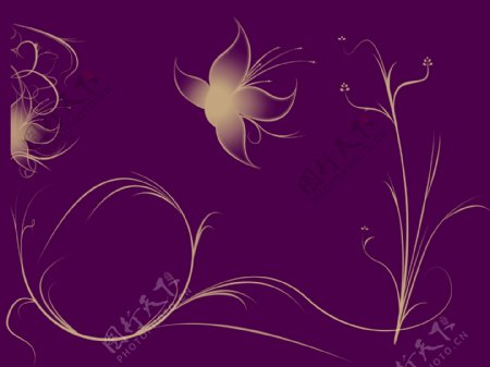 紫色浪漫花朵背景图片
