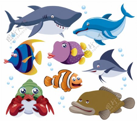 8种海洋动物矢量
