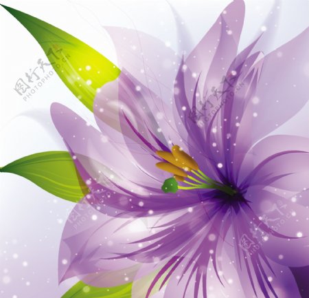 紫色花卉素材背景