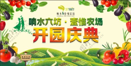 绿色蔬菜宣传海报素材