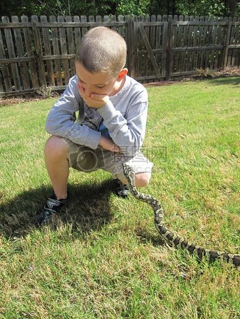 玩蟒蛇的男孩