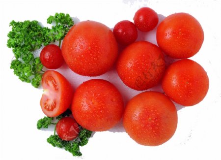 花椰菜番茄