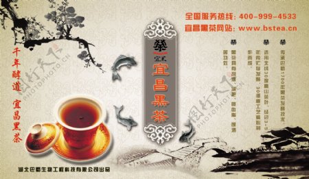 宜昌黑茶图片