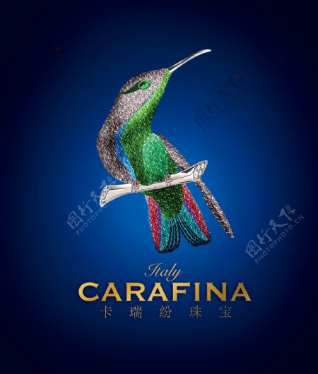 carafina鸟宝蓝底