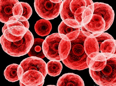 红色圆形生物病毒图片