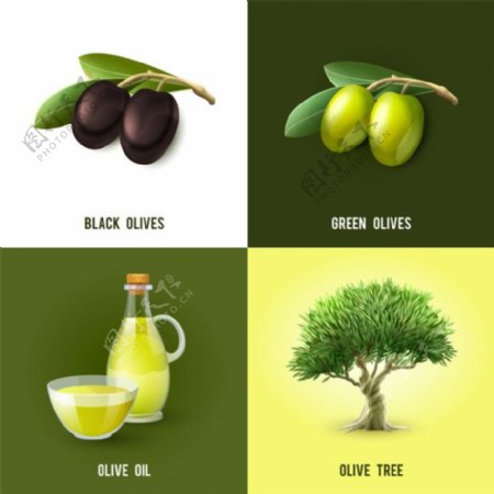 橄榄果与橄榄油图片