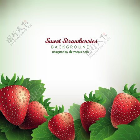 美味草莓的背景