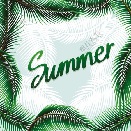 夏日主题背景与绿叶插图