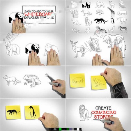 白板系列素材之动物角色与手绘手势的AE模板