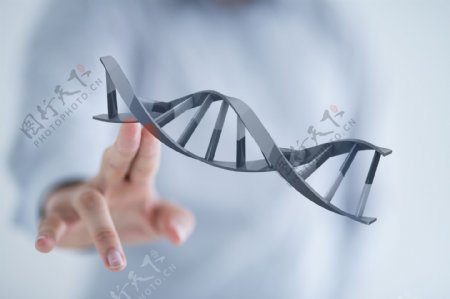 DNA与手图片