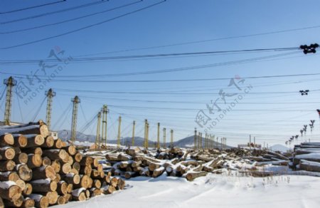 东北木材图片