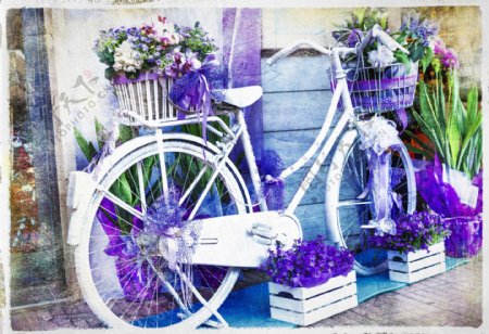 花朵自行车图片
