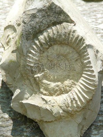 石化的白色雕塑