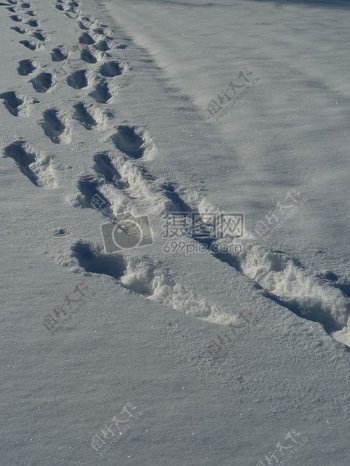 大雪中的脚印