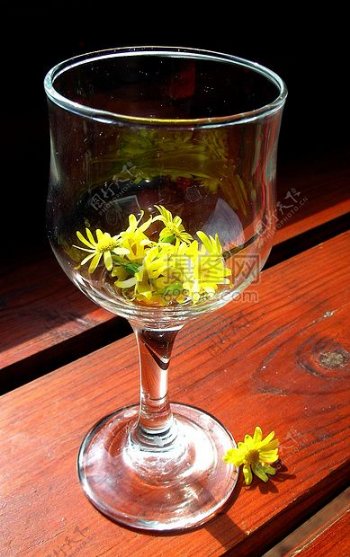 杯子里的野花