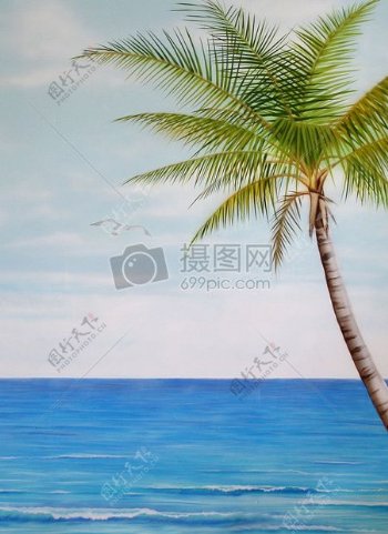 海岸边的椰子树