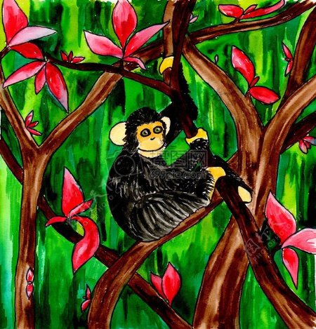 猴子的水彩插画